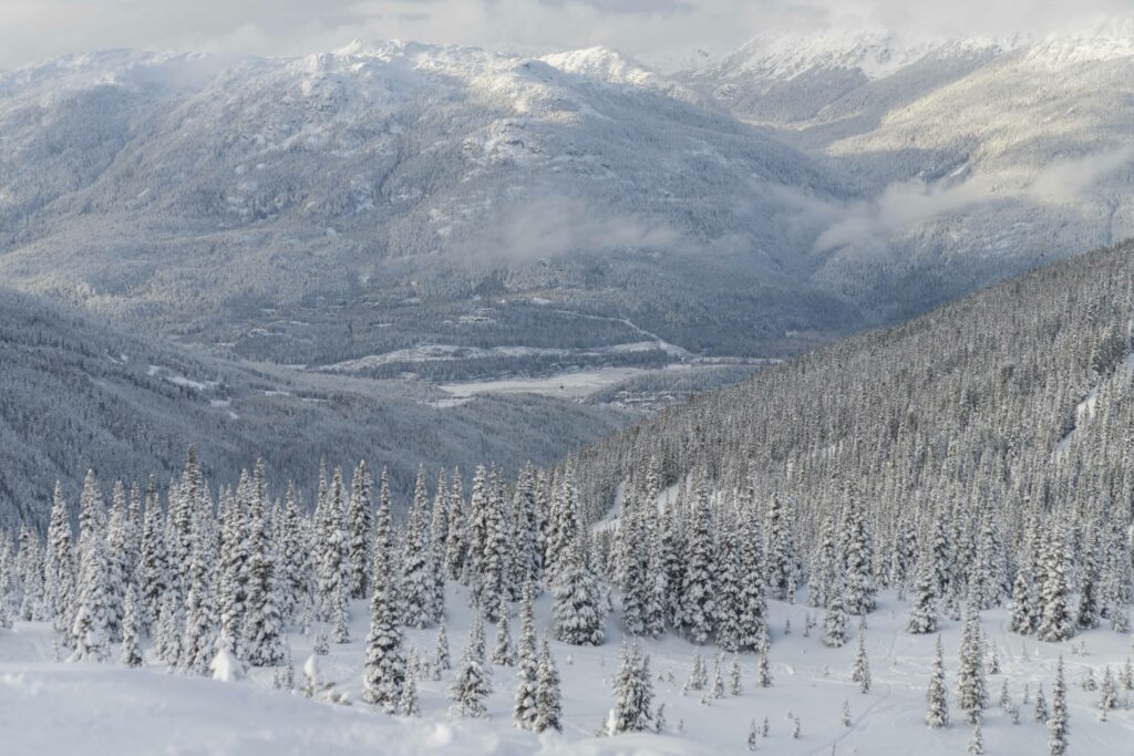 Whistler Blackcomb skiing