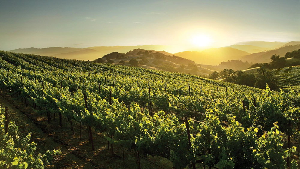 A 100-Point Sonoma Wine Sojourn Robb Report Ultimate Gift Guide 2022