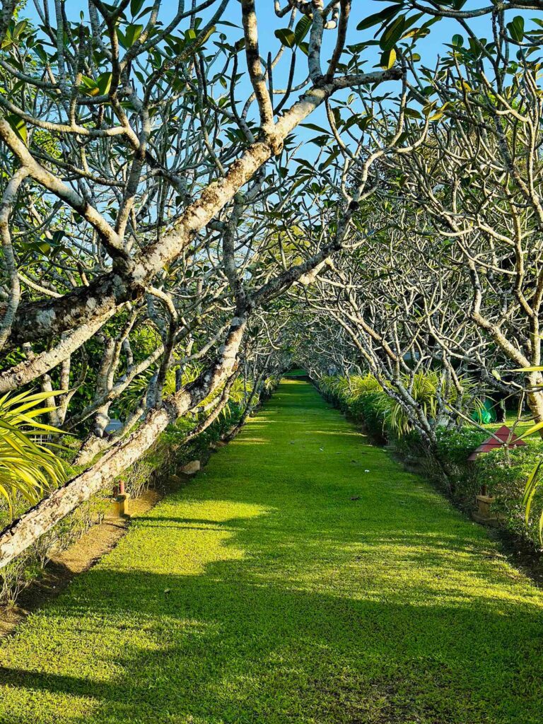 Conscious Grounding grass path at Banyan Tree Veya Phuket