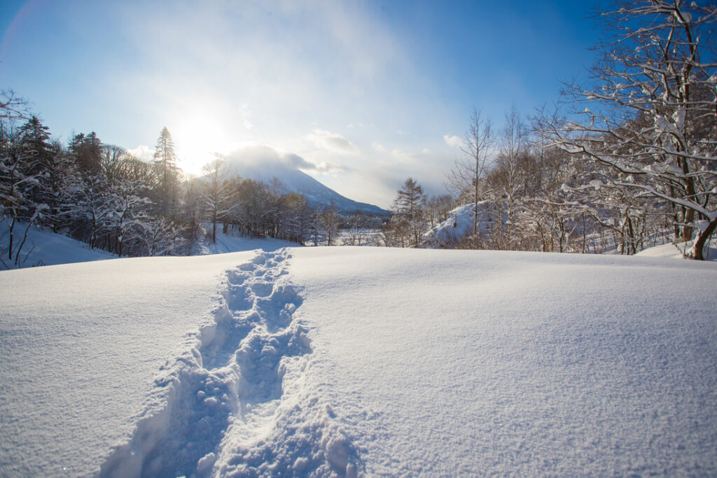 View of the famous Mt. Yotei in Niseko