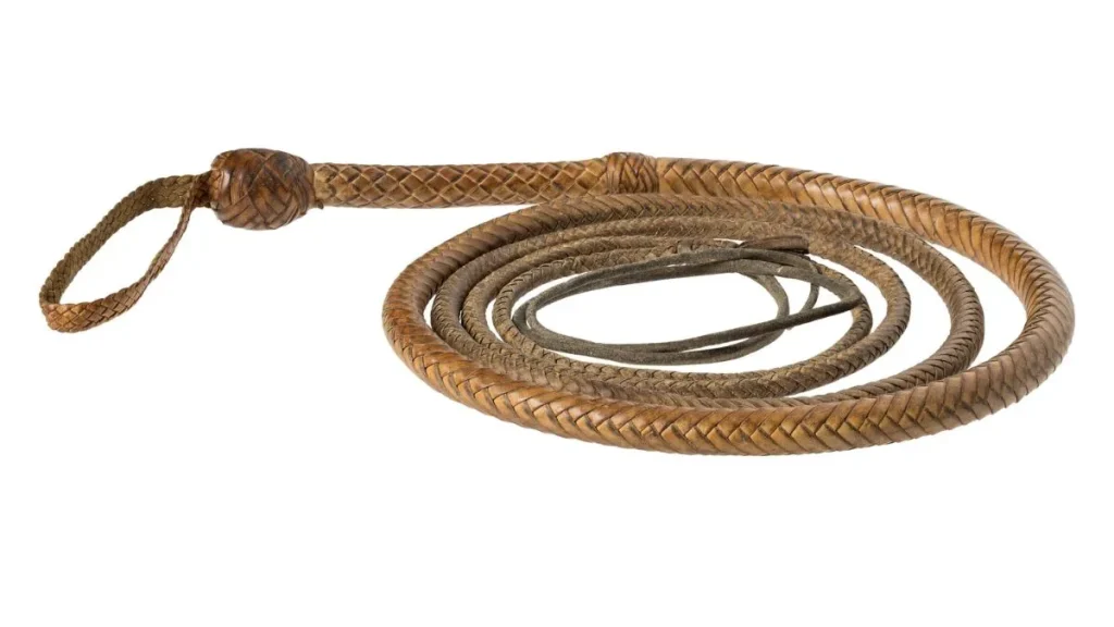 A brown prop whip, coiled.